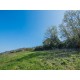 FARMHOUSE FOR SALE IN LAPEDONA IN THE MARCHE REGION,this beautiful farmhouse is to be restored in Le Marche_8